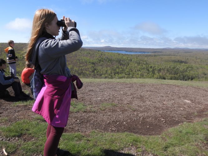 Brockway birding News, Sports, Jobs The Mining Gazette